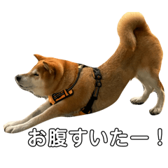 aa-09_20260207145442