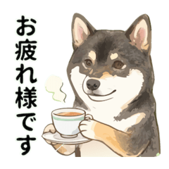 michi_20260207151043