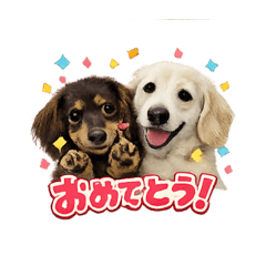 Chikuwakun_20260207152011