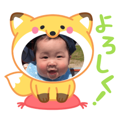 sakura_20260207151432