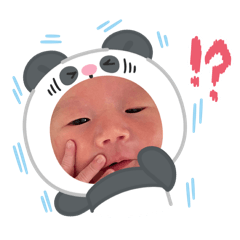 dashimaki_20260207151902