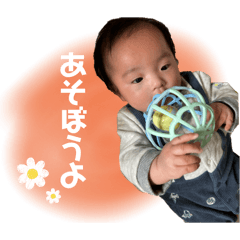 cocoa_20260207145239