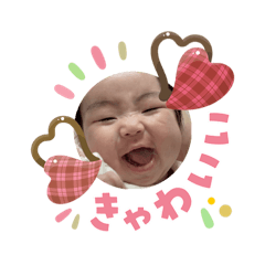 yocchi_20260207132501