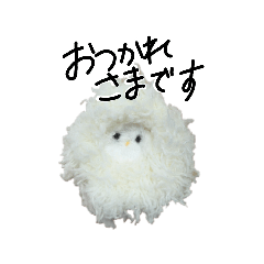 sakura_20260207133853