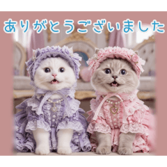 PAKAMOGOLY_20260207133202