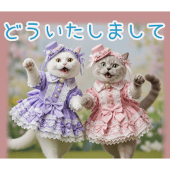 PAKAMOGOLY_20260207132929