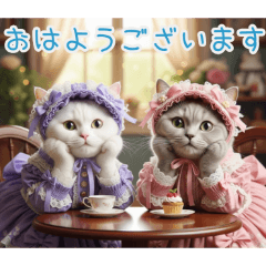 PAKAMOGOLY_20260207133508