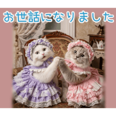 PAKAMOGOLY_20260207133623