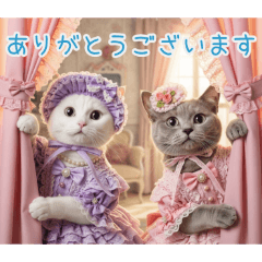 PAKAMOGOLY_20260207133033