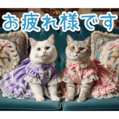 PAKAMOGOLY_20260207134044