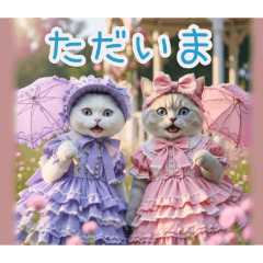 PAKAMOGOLY_20260207134331