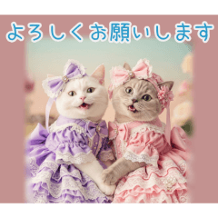 PAKAMOGOLY_20260207133936