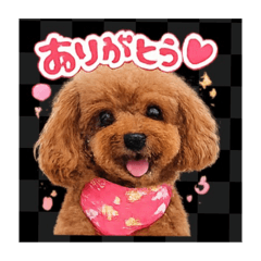 asuka_20260207162615