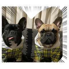 Hello_20260207162918