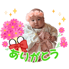 hikari1113