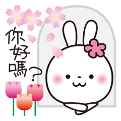 春♥️可愛的小白兔