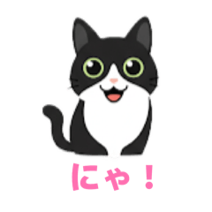 NEKOLAB_20260207154740