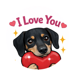 可愛臘腸寶貝黑皮日常表情貼圖