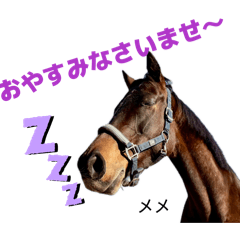 Retouch support_20260205203036