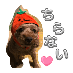 nonrinstamp2