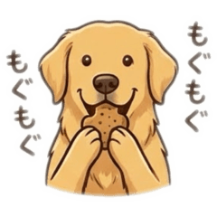 nakaha_20260207124502