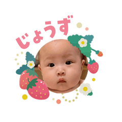 norimaki_20260207125245