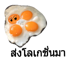 eggs eggs.