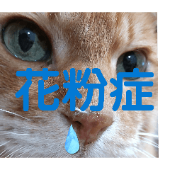 fujijifu_20260207125552