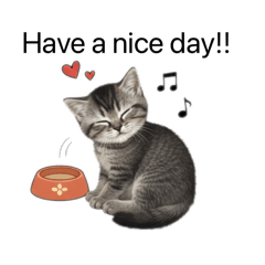 Lucas the Handsome cat