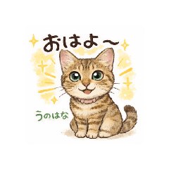 AZUKI_20260208092722