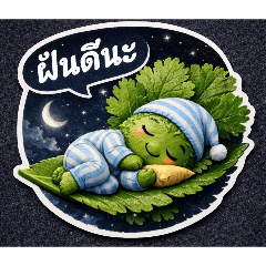 Songkan_20260208020124