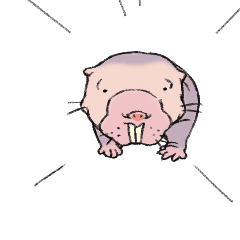 hadakadebanezumi-Sticker