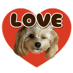 omochi_20260207111124