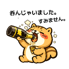 STAMPo_20260207112709