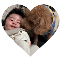 moe.h_20260207174200