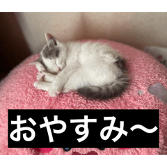 LY Corporation_20260207174026