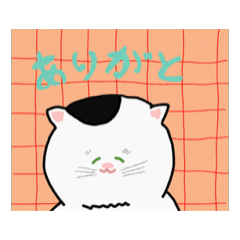 kumayouhinten_20260208015855