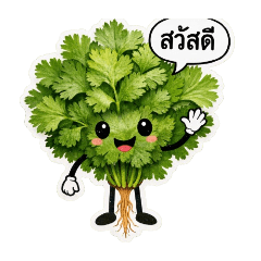 Songkan_20260208033325