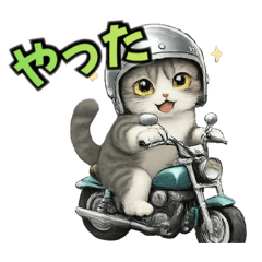 Nicosuki_20260207175137