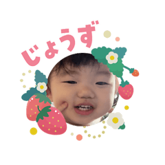 K_20260207181202