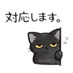 s.s atsu_20260207181431