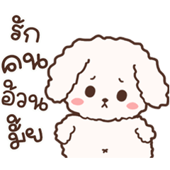 cookie cookie cute little dog