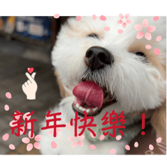 饅頭的可愛小貼圖