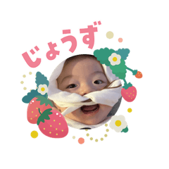 mai.o_20260207173132