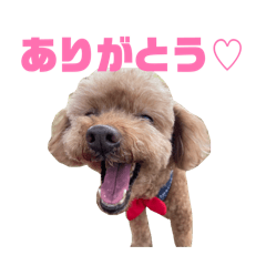 sunagimo_20260207213213