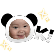 sunflower_20260207180731