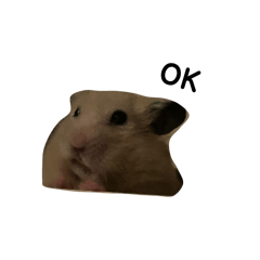 HAMU HAMU_20260207194149