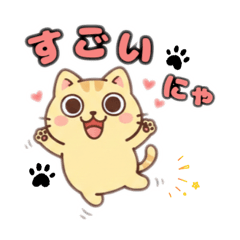 chocotto_20260207194311