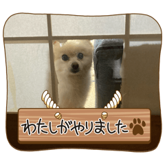 Mugi_20260207221254