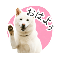 bannan_20260207215720